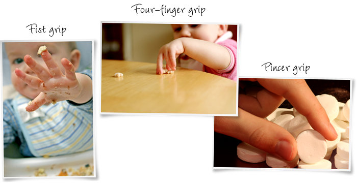 Toddler grips: fist grip, four-finger grip and pincer grip